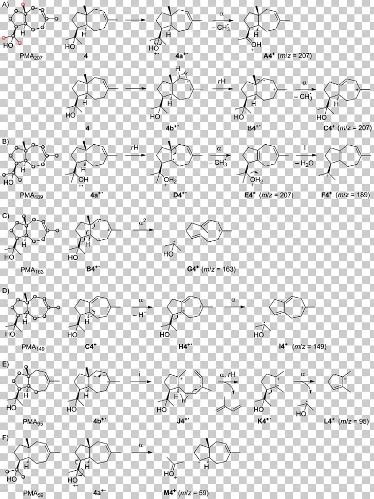 Mass Spectrum Fragmentation Mass-to-charge Ratio Sesquiterpene PNG, Clipart, Angle, Area, Black And White, Calligraphy, Drawing Free PNG Download