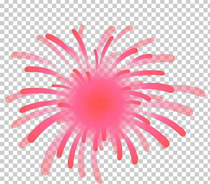 Pink M Close-up Line RTV Pink PNG, Clipart, Ano, Art, Closeup, Closeup, Flower Free PNG Download