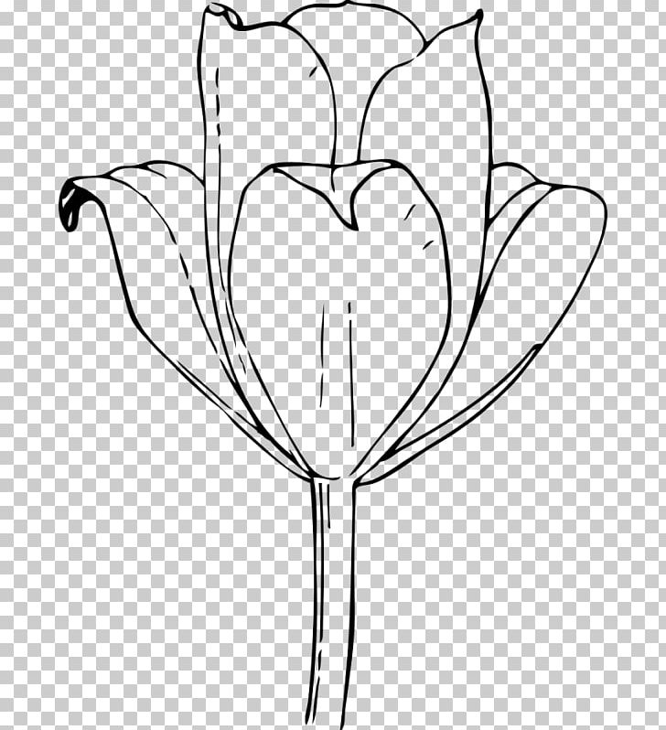 Coloring Book Drawing Line Art Floral Design Tulip PNG, Clipart, Black And White, Branch, Child, Coloring Book, Cut Flowers Free PNG Download