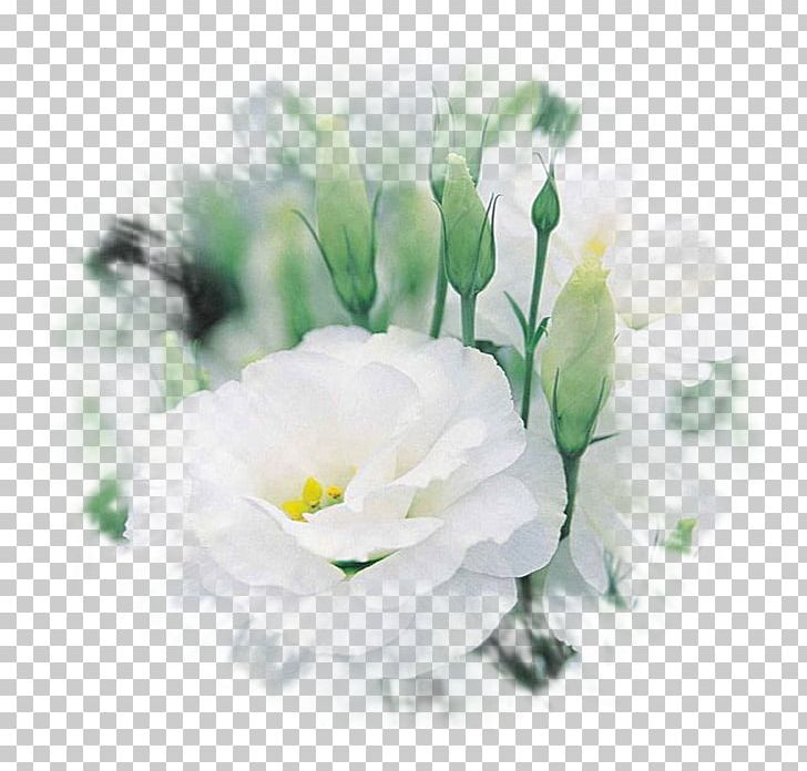 Cut Flowers Eustoma Russellianum Flower Bouquet Plant PNG, Clipart, Artificial Flower, Babysbreath, Bride, Color, Cut Flowers Free PNG Download