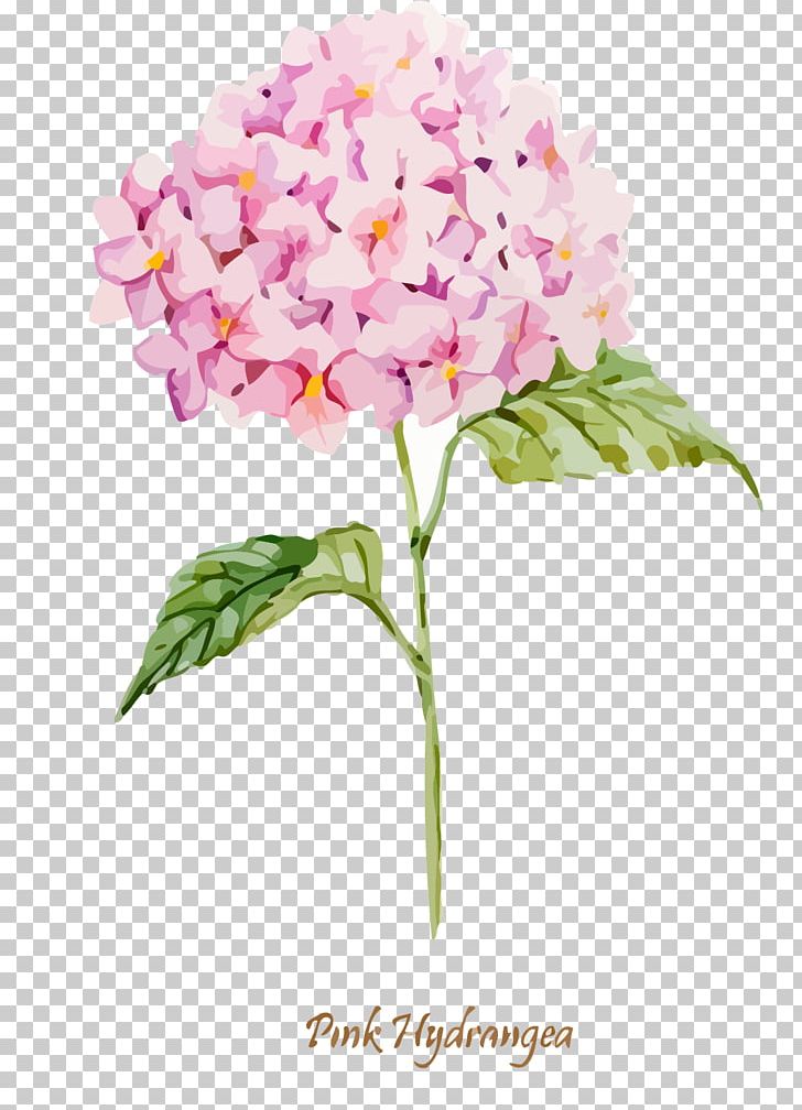 Oakleaf Hydrangea Euclidean PNG, Clipart, Artificial Flower, Cornales, Encapsulated Postscript, Flower, Flower Arranging Free PNG Download