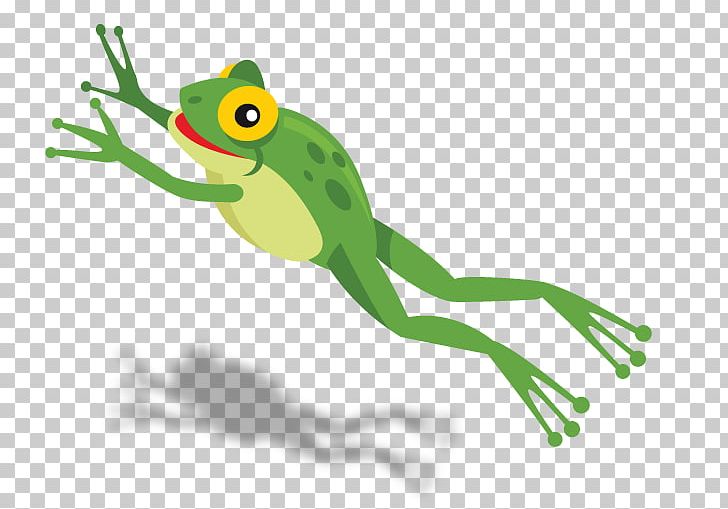 True Frog Amphibian Tree Frog Vertebrate PNG, Clipart, Amphibian, Animal, Animals, Fauna, Frog Free PNG Download