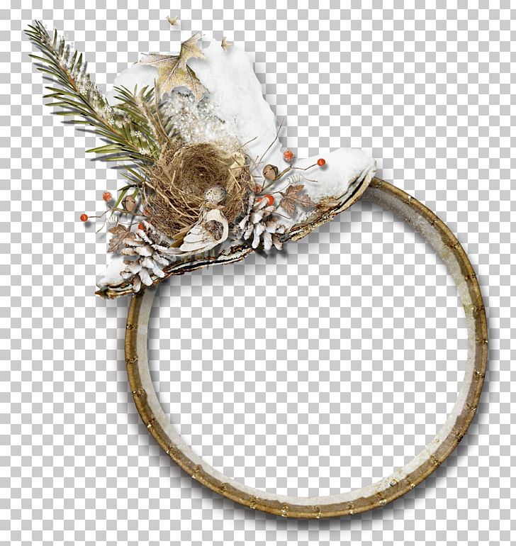 Bird Nest Encapsulated PostScript PNG, Clipart, Bird, Bird Nest, Christmas Ornament, Cicekli Cerceve, Circle Free PNG Download