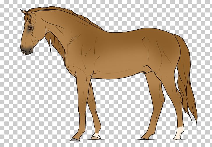 Foal Mane Stallion Mare Rein PNG, Clipart, Bridle, Colt, Foal, Halter, Horse Free PNG Download
