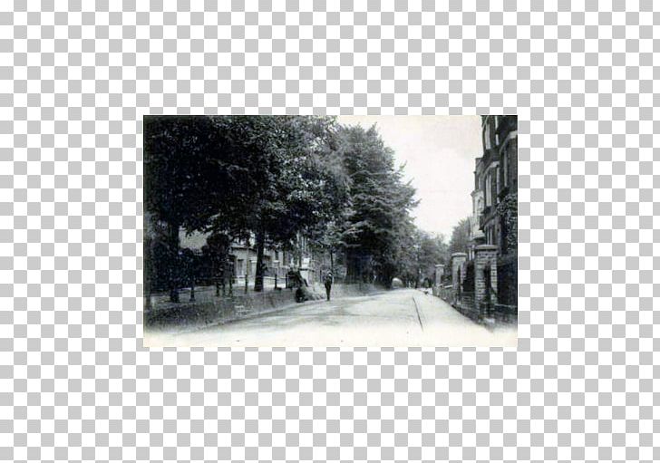 Well Walk Chalybeate Spring Royal Tunbridge Wells Tree White PNG, Clipart, Black And White, Hampstead, Hampstead Heath, History, Monochrome Free PNG Download