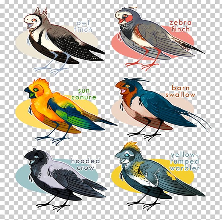 Beak Finches Fauna Feather PNG, Clipart, Animals, Beak, Bird, Fauna, Feather Free PNG Download