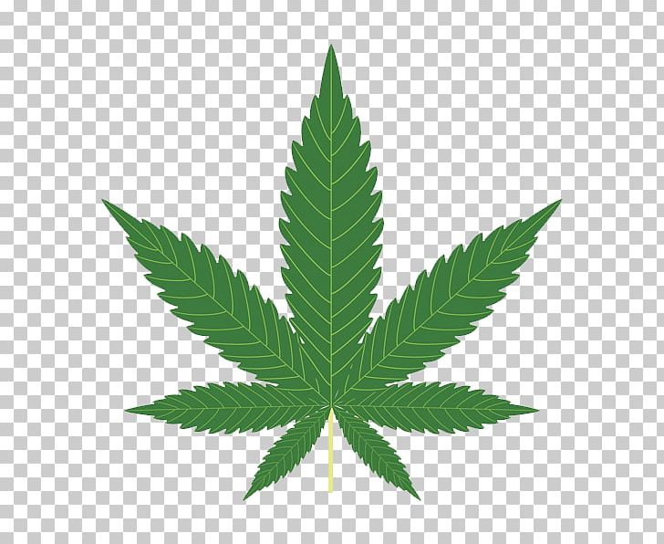Cannabis Sativa Hemp Legalization PNG, Clipart, Avatan Plus, Cannabis, Cannabis Sativa, Cannabis Smoking, Hemp Free PNG Download
