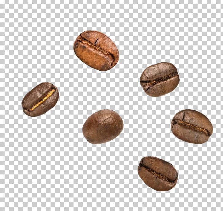 Cocoa Bean Coffee Bean Nut Theobroma Cacao PNG, Clipart, Bean, Beans, Cocoa, Cocoa Bean, Cocoa Beans Free PNG Download