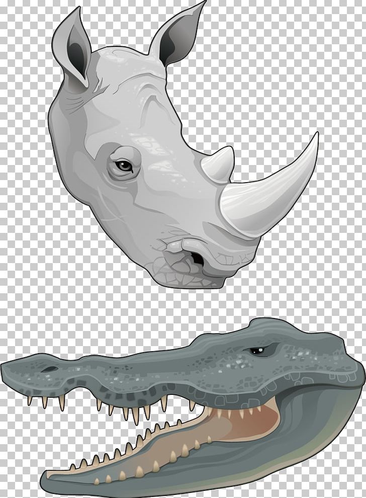 Rhinoceros Horn Euclidean Animal PNG, Clipart, Amphibian, Amphibians, Amphibians Vector, Animal, Animal Heads Free PNG Download