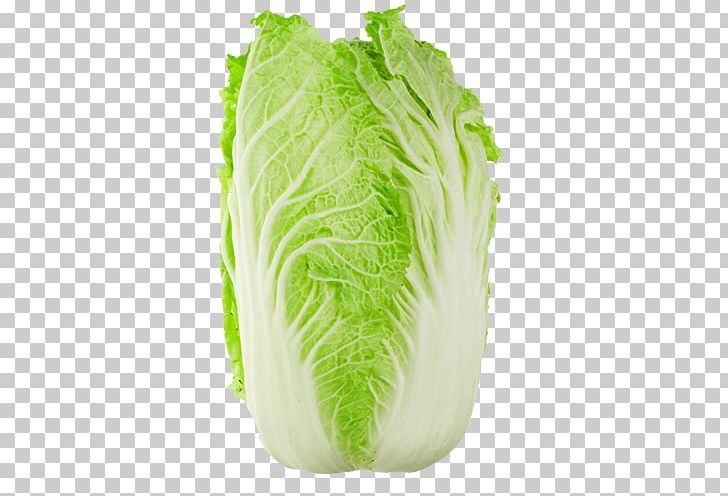 Chinese Cuisine Chinese Cabbage Napa Cabbage Savoy Cabbage PNG, Clipart, Bok Choy, Broccoli, Cabbage, Chinese Cabbage, Chinese Cuisine Free PNG Download