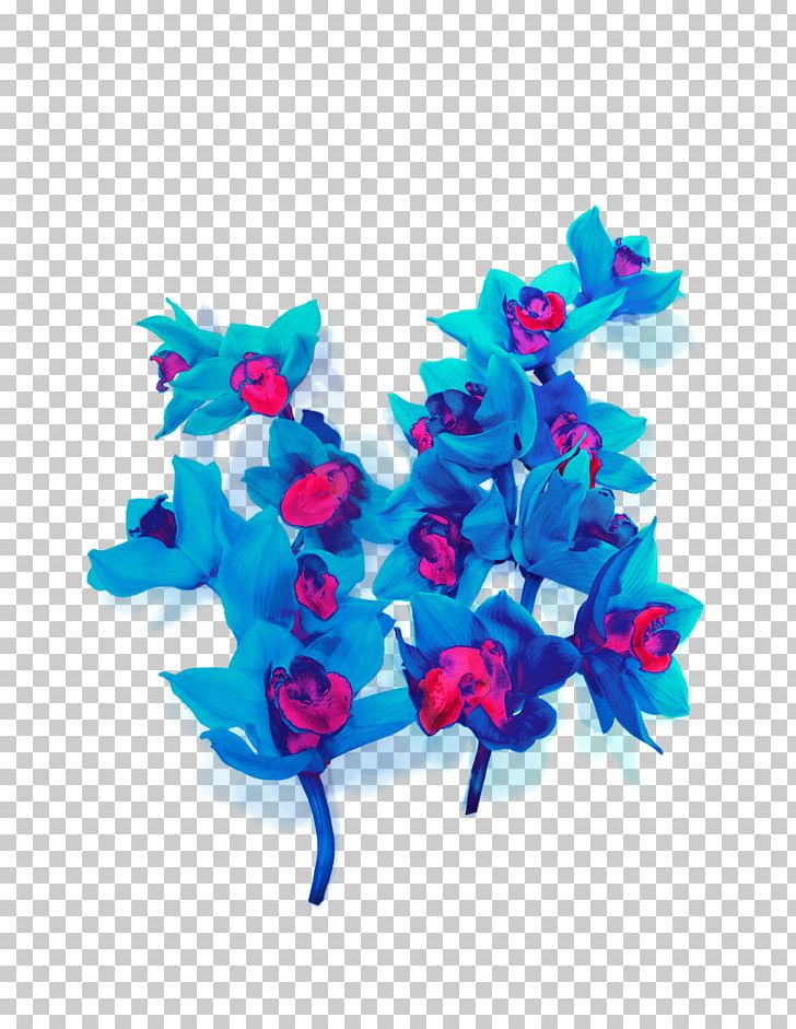 Dendrobium Orchids Blue Flower PNG, Clipart, Blossom, Blue, Blue Flower, Blue Orchid, Color Free PNG Download