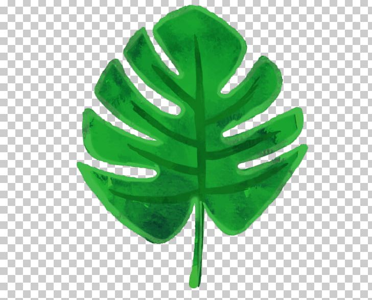 Palm Trees Leaf Tropics Areca Palm PNG, Clipart, Areca Palm, Banana Leaf, Fern, Green, Green Banana Free PNG Download