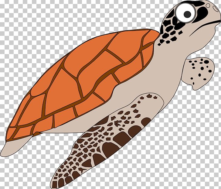 Sea Turtle Cartoon PNG, Clipart, Animals, Cartoon, Clip Art, Drawing, Fish  Free PNG Download