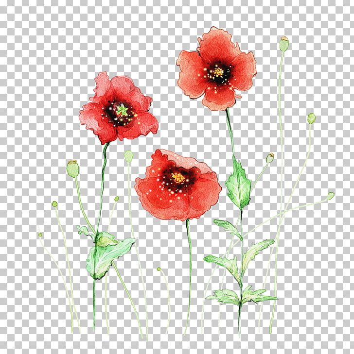 Watercolor Painting Flower Red PNG, Clipart, Abstract, Abstract Flowers Pictures, Art, Blue, Cartoon Free PNG Download