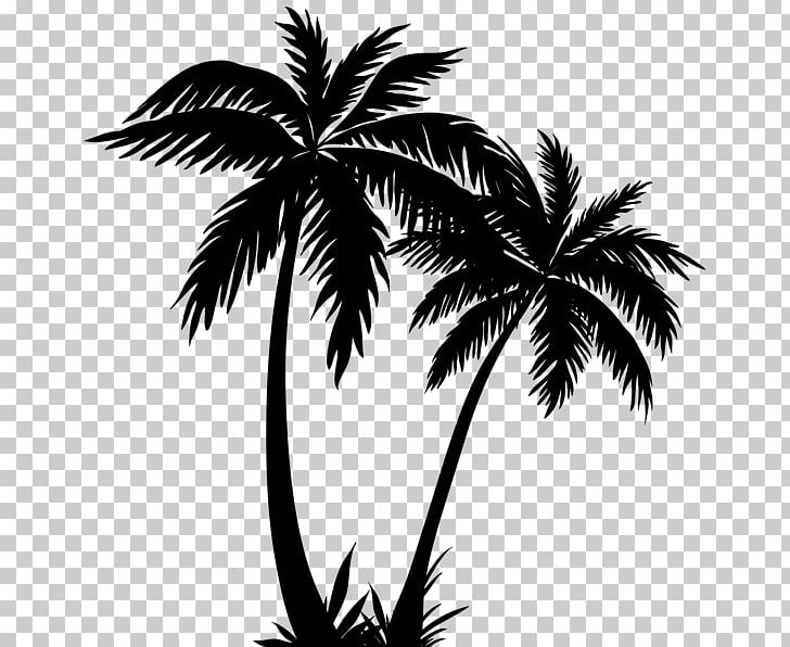 Arecaceae Silhouette PNG, Clipart, Animals, Arecaceae, Arecales, Borassus Flabellifer, Branch Free PNG Download
