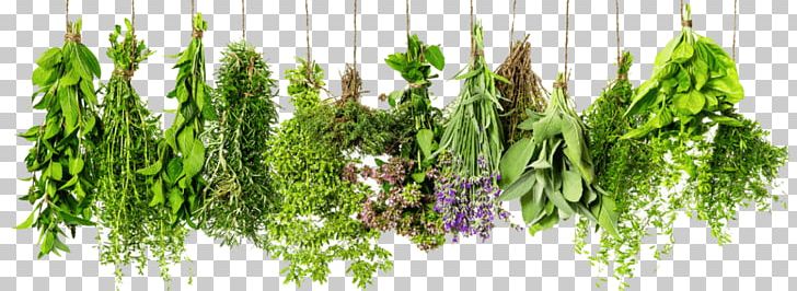 Herb Mediterranean Cuisine PNG, Clipart, Admin, Basil, Fines Herbes, Flavor, Food Free PNG Download