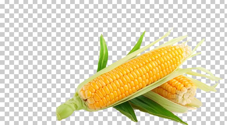 Maize Seed Cereal Food Starch PNG, Clipart, Cereal, Commodity, Corn Kernels, Corn Oil, Corn On The Cob Free PNG Download