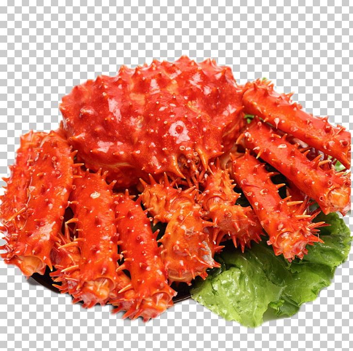 Red King Crab Seafood Shrimp PNG, Clipart, Animals, Animal Source Foods, Beautiful, Beautiful Color, Cangrejo Free PNG Download