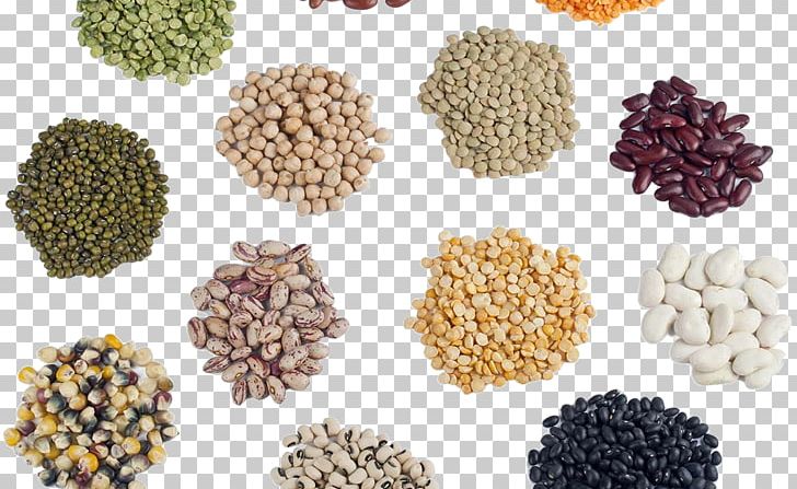 Seed Saving Agriculture Seed Library Hybrid Seed PNG, Clipart, Agriculture, Bean, Commodity, Crop, Food Free PNG Download