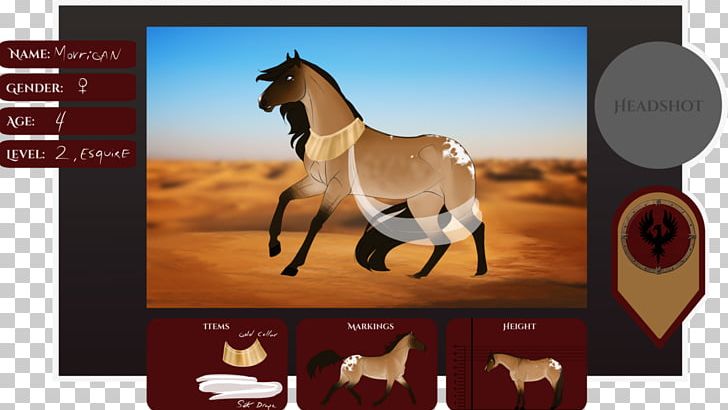 Stallion Mustang Heroes Of The Storm 0 Halter PNG, Clipart, 2018, Barb Horse, Brand, Deviantart, Halter Free PNG Download