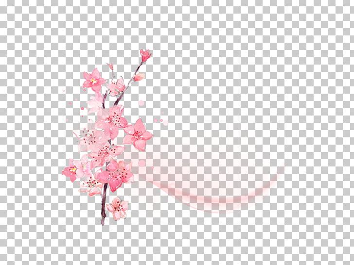 Computer File PNG, Clipart, Bloom, Blossom, Cherry Blossom, Comp, Download Free PNG Download