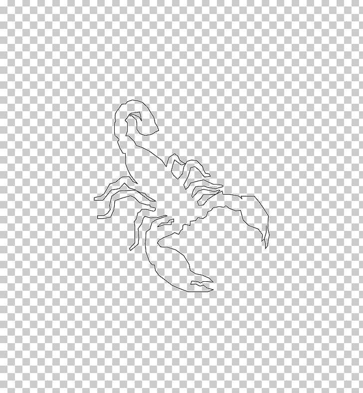 Emperor Scorpion Drawing Line Art PNG, Clipart, Abstract, Animal, Arm, Art, Artwork Free PNG Download