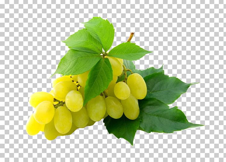 Kyoho Wine Grape Sultana PNG, Clipart, Berries, Common Grape Vine, Food, Food Drinks, Fruit Free PNG Download