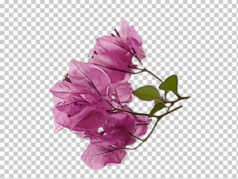 Floral Design PNG, Clipart, Cut Flowers, Floral Design, Flower, Flower Bouquet, Herbaceous Plant Free PNG Download