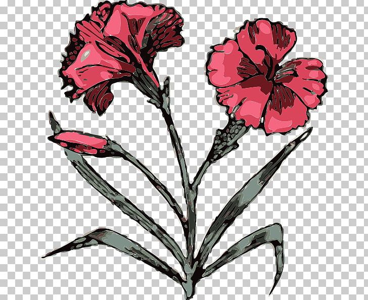 Carnation Scalable Graphics Free Content PNG, Clipart, Art, Carnation, Cut Flowers, Download, Flora Free PNG Download