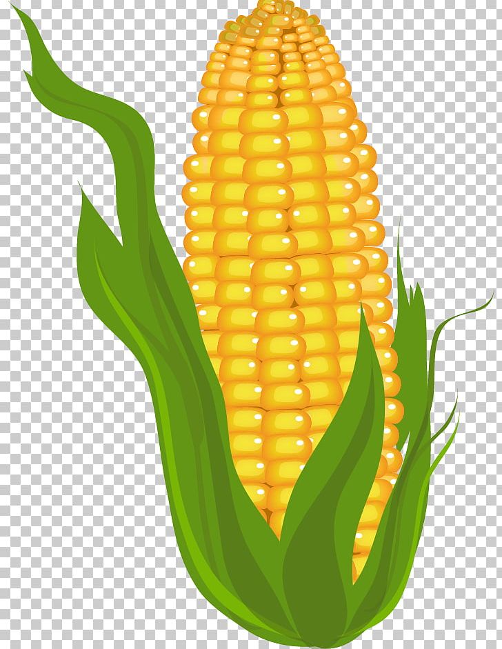 Corn On The Cob Free Content Maize PNG, Clipart, Blog, Clip Art, Commodity, Corncob, Corn On The Cob Free PNG Download