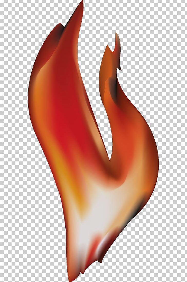 Flame Combustion Fire PNG, Clipart, Burn, Combustibility And Flammability, Combustion, Ember, Euclidean Vector Free PNG Download