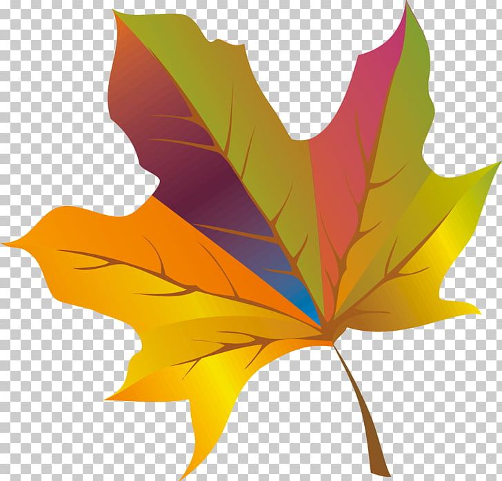 Maple Leaf Tree Petal PNG, Clipart, Aceraceae, Branch, Bulb, Computer Wallpaper, Desktop Wallpaper Free PNG Download