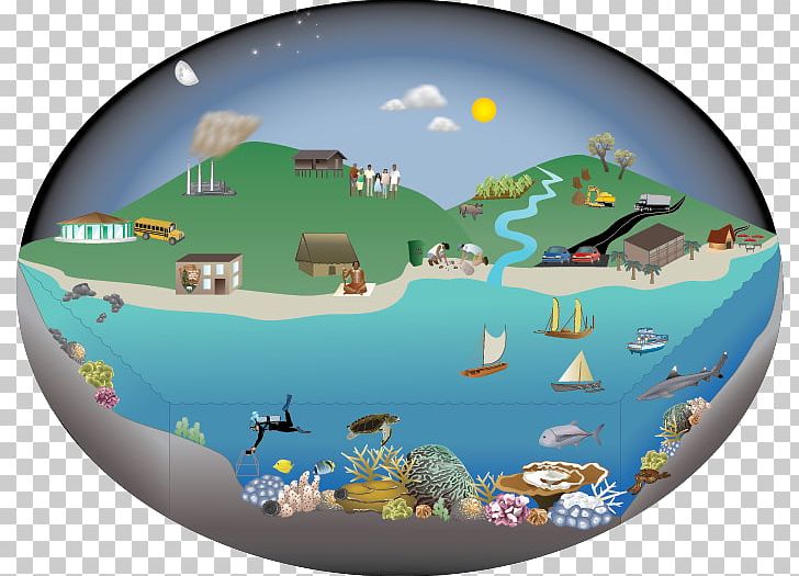 Coral Reef Food Web Water Resources Ocean Food Chain PNG, Clipart, Climate, Climate Change, Coral, Coral Reef, Ecosystem Free PNG Download
