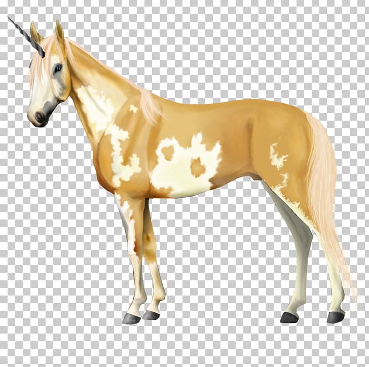 Mule Mustang Foal Stallion Mare PNG, Clipart,  Free PNG Download