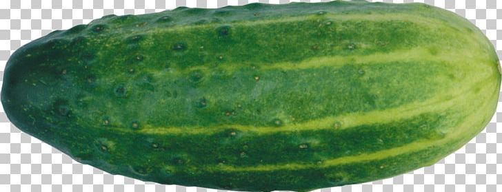 Pickled Cucumber Muskmelon PNG, Clipart, Armenian Cucumber, Citrullus, Cucumber, Cucumber Gourd And Melon Family, Cucumis Free PNG Download