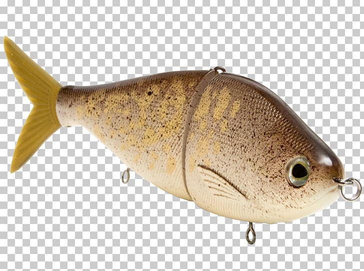 Spoon Lure Plug Swimbait Fishing Baits & Lures PNG, Clipart, Bait, Bass, Bluegill, Bony Fish, Fauna Free PNG Download