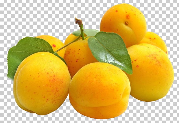 Apricot Tangerine Fruit Mandarin Orange PNG, Clipart, Apricot, Apricot Kernel, Apricot Oil, Citrus, Desktop Wallpaper Free PNG Download