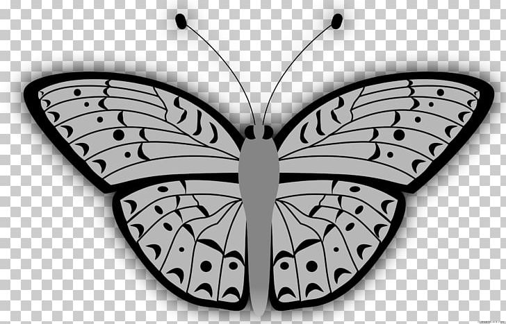Butterfly Insect Graphics Brush-footed Butterflies PNG, Clipart, Arthropod, Black And White, Brushfooted Butterflies, Brush Footed Butterfly, Butterflies And Moths Free PNG Download