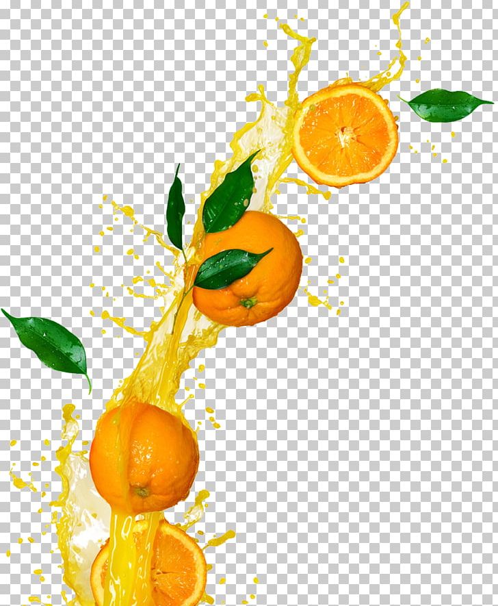 Orange Juice Tangerine Orange Drink Clementine PNG, Clipart, Breakfast, Citrus, Color Splash, Food, Fruit Free PNG Download