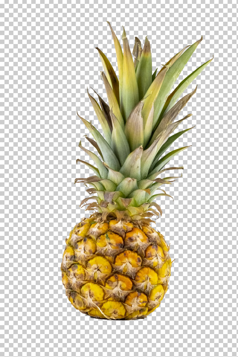 Pineapple PNG, Clipart, Apricot, Family, Fruit, Peach, Pineapple Free PNG Download