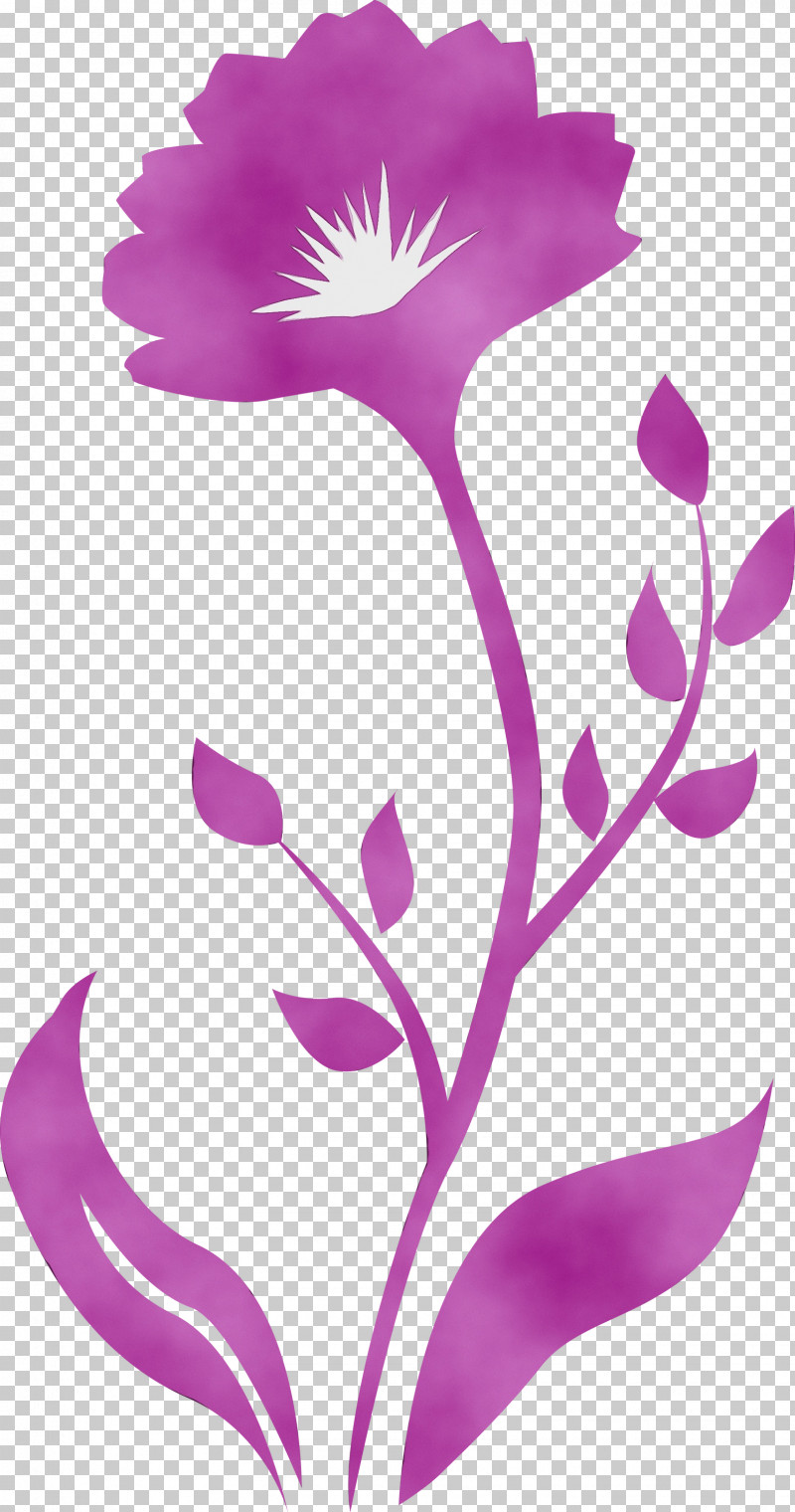 Violet Pedicel Purple Flower Pink PNG, Clipart, Decor Frame, Flower, Magenta, Paint, Pedicel Free PNG Download