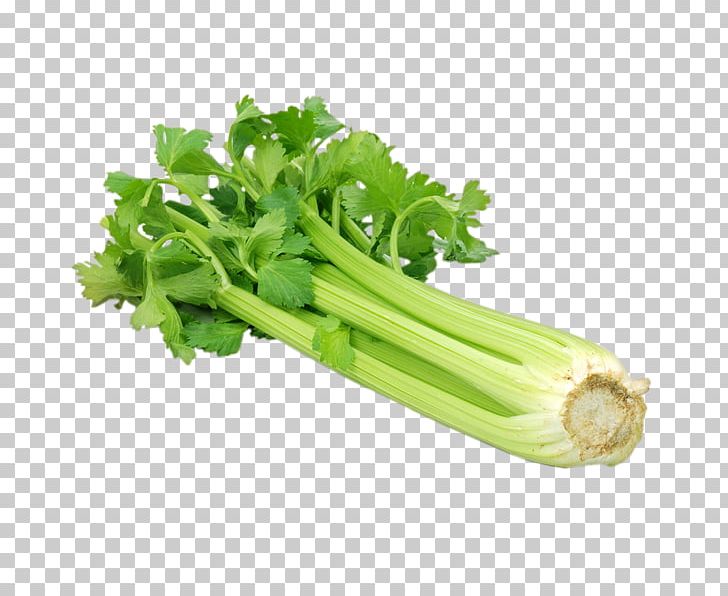 Celery Vegetable Chinese Cabbage Brussels Sprout PNG, Clipart, Asparagus, Brussels Sprout, Cabbage, Carrot, Cauliflower Free PNG Download