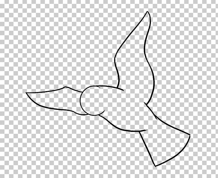 Draw Birds Drawing Parrot Sketch PNG, Clipart, Angle, Animals, Area, Arm, Art Free PNG Download