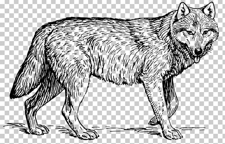 Coloring Book Animal Lion Dog Adult PNG, Clipart, Adult, Animal, Animals, Arctic Wolf, Artwork Free PNG Download