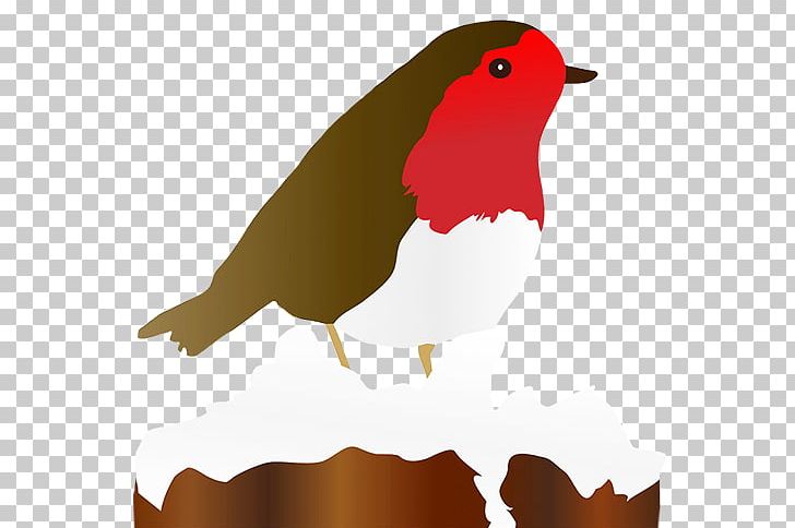 American Robin Free Content PNG, Clipart, American Robin, Batman Robin, Beak, Bird, Chicken Free PNG Download