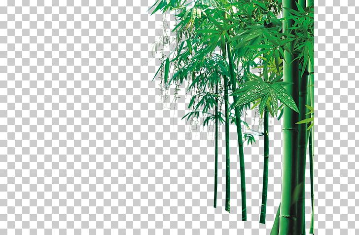 Bamboo Computer File PNG, Clipart, Adobe Illustrator, Bamboo Border, Bamboo Frame, Bamboo Leaf, Bamboo Leaves Free PNG Download