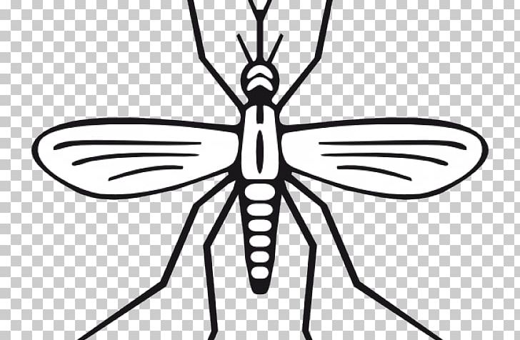 Drawing Insect Graphics Marsh Mosquitoes PNG, Clipart, Animal, Animals, Artwork, Black And White, Drawing Free PNG Download