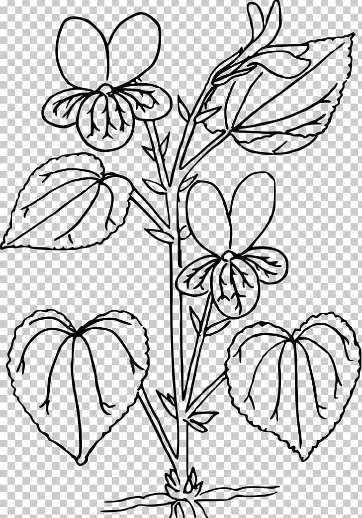 Floral Design Drawing PNG, Clipart, Area, Art, Black And White, Branch, Coloring Book Free PNG Download