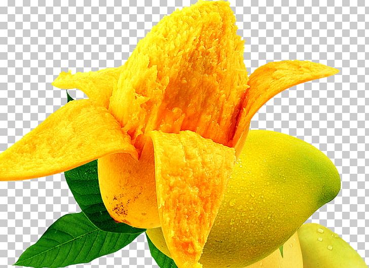 Mango Food Auglis Fruit PNG, Clipart, Apple, Auglis, Cut Mango, Dried Fruit, Dried Mango Free PNG Download