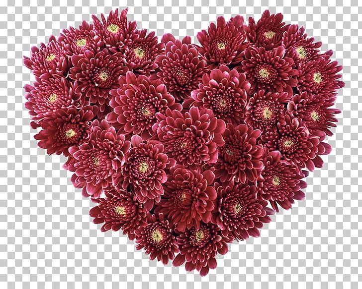 Flower Heart Love Valentines Day PNG, Clipart, Aster, Chrysanthemum, Chrysanths, Cut Flowers, Day Free PNG Download